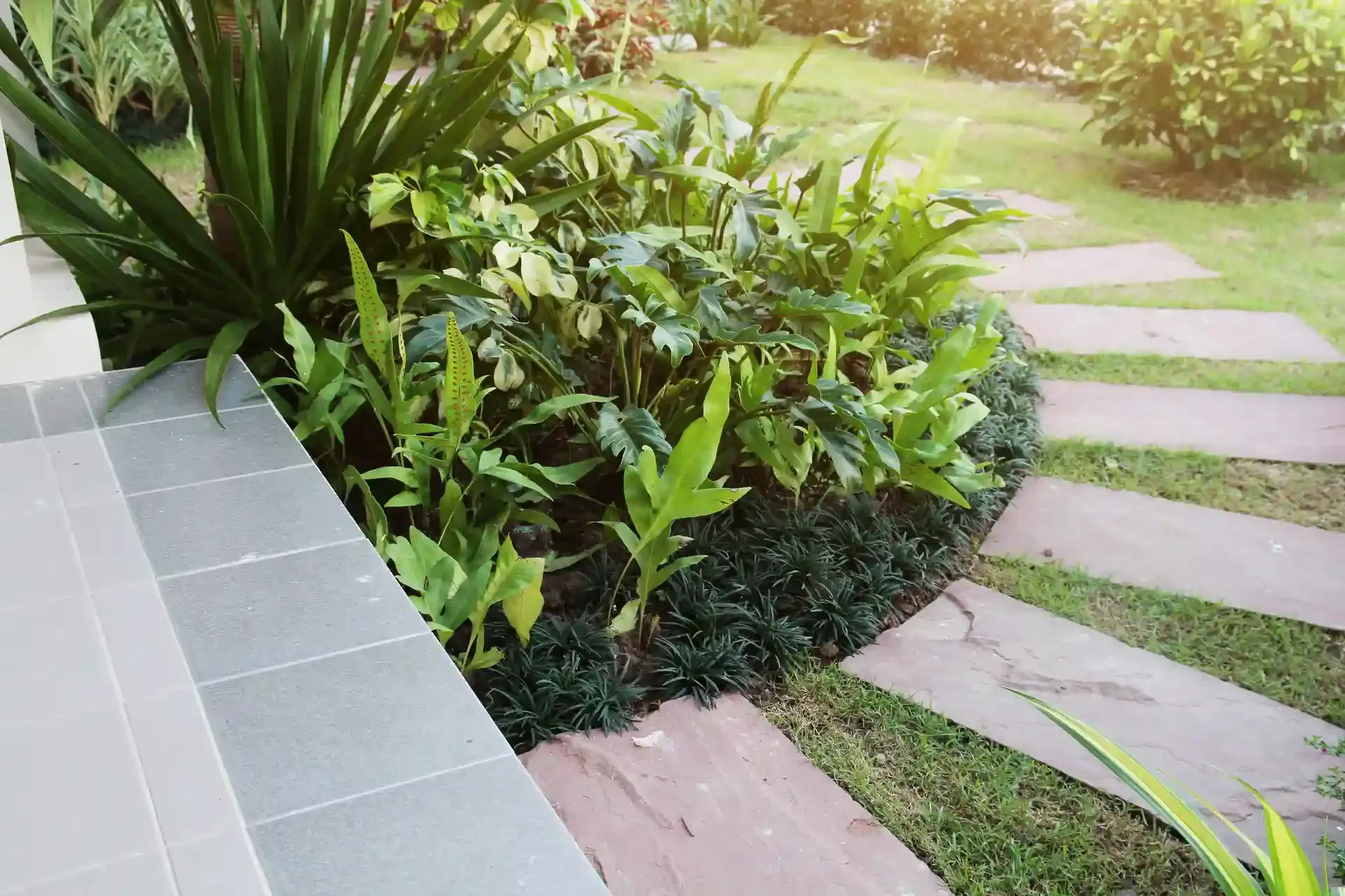 Professional landscaping services